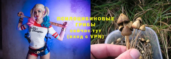 таблы Богданович