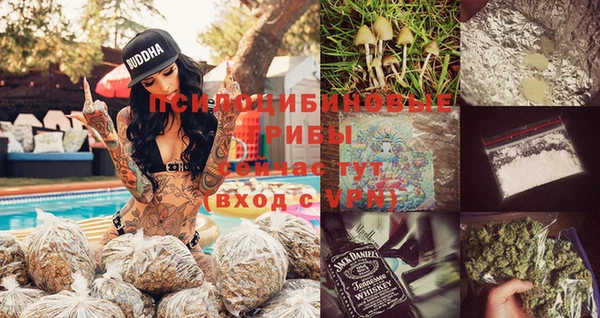 таблы Богданович