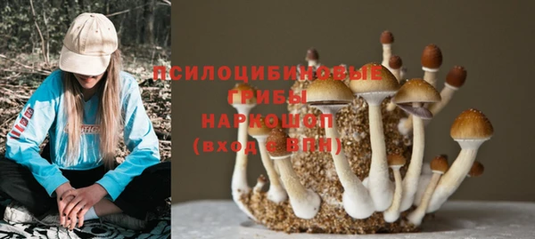 герыч Богородицк