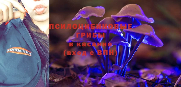 каннабис Бородино