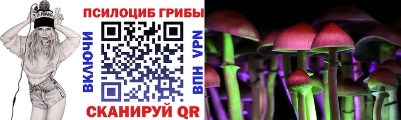 хочу   Волосово  Галлюциногенные грибы Psilocybine cubensis 